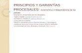 Principios y garantías procesales