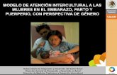 Modelo de atención intercultural a las mujeres en el embarazo, parto y puerperio, con perspectiva de género.
