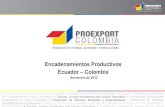 Presentación encadenamientos productivos ecuador   colombia