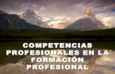 Competencias Profesionales En La ForamcióN Profesional