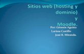 Sitios web (hosting y dominio)