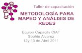 Taller de Capacitación: Metodología para Mapeo y Análisis de Redes