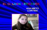 Ana-El golden retriever
