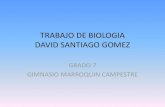 Trabajo santiago gomez diapositivas (1)