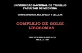 COMPLEJO DE GOLGI - LISOSOMAS