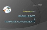 Bachillerato y Ramas Conocimiento 2013-2014
