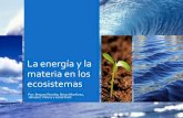La Energia y la Materia en los Ecosistemas