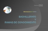Bachillerato y Ramas de Conocimiento 2012-2013