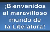 Tipos De Novela Latinoamericana
