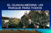 Guadalmedina Parque Fluvial