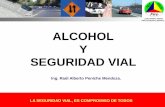 ALCOHOL Y SEGURIDAD VIAL