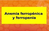 Actualización en anemia ferropénica