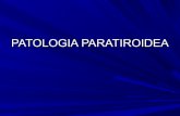 Patologia paratiroidea