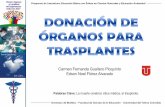 Donacion de organos para transplantes sem bioetica