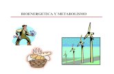 Bioenergetica Y Metabolismo 1