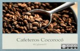 Práctica 4 IV/DAI: Presentación Cafeteros Cocorocó