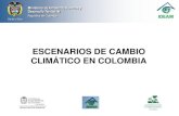 ESCENARIOS DE CAMBIO CLIMÁTICO EN COLOMBIA. Nestor Garzón.