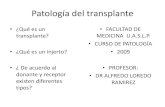 PatologíA Del Transplante.