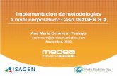 Usabilidad en práctica caso ISAGEN - Ana María Echeverri