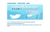 Twitter ads -seo web consultora