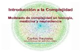 Reynoso - Introduccion a la complejidad en medicina, biologia y neurociencia
