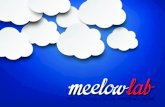 Dossier Meelowlab Productos y Servicios