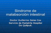 Sindrome De Malabsorci+ ªN Intestinal