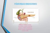 Pancreas endocrino Bioquimica