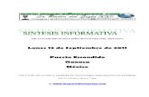 Sintesis informativa 1209 2011