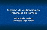 Marin Sistema De Audiencias En Tribunales De Familia