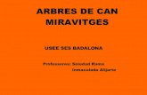 Arbres Can Miravitges