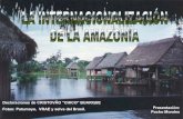 La internacionalizaci del Amazonalización