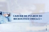 Cancer de pulmon no microcitico (