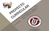 PROYECTO CURRICULAR EN LAS INSTITUCIONES EDUCATIVAS