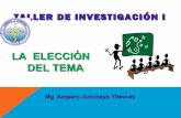 ELECCIÓN DEL TEMA DE INVESTIGACION