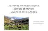Acciones de adaptación al cambio climático. Acciones en los Andes. Verónica Galmez.