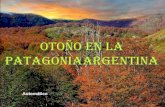 Otoño en la_patagonia_argentina
