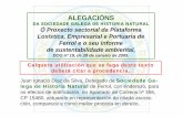 AlegacióNs ó Proxecto Sectorial Da Plataforma LoxíStica Empresarial E Portuaria De Ferrol   Sghn