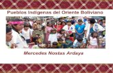 Pueblos indigenas del oriente boliviano