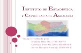 Trabajo instituto de estadística y cartografía de andalucía