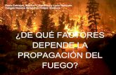 ¿De qué factores depende la propagación del fuego?