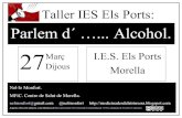 Taller alcohol ies els ports 27 3-14