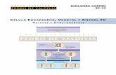 Célula Eucarionte, Vegetal y Animal IV: Meiosis y Gametogénesis (BC10 - PDV 2013)