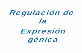 Regulación de la expresión génica