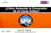 Presentacion luis pardo_conversion y email_workshop_lima