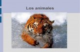 Presentacion Animales