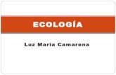 Luz María Camarena ECOLOGIA 1º Parcial