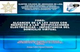 Domicilio Virtual en el Perú