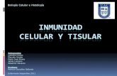 Inmunidad celular y tisular definitivo (2)