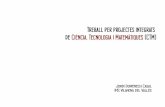 Treball per projectes integrats  de Ciència, Tecnologia i Matemàtiques (CTM)